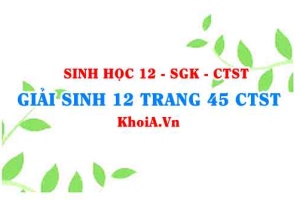 Giải Sinh 12 trang 45 Chân trời Sáng tạo
